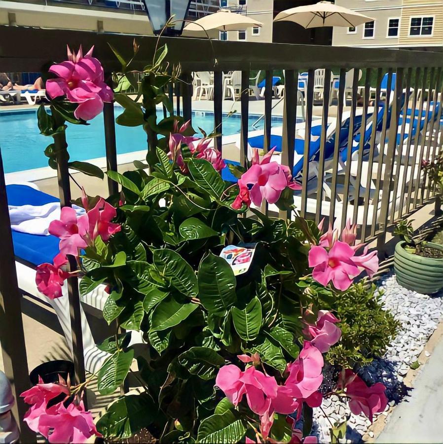 Beach Colony Motel Wildwood Crest Exterior photo